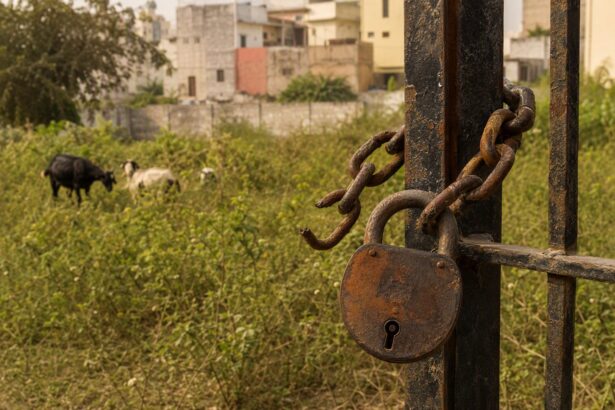 Common Reasons Why Your Land Gets Encroached Upon