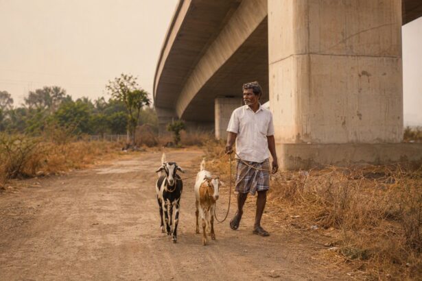 ORR & CPRR Projects: Chennai’s Infrastructure That’s Powering Property Growth