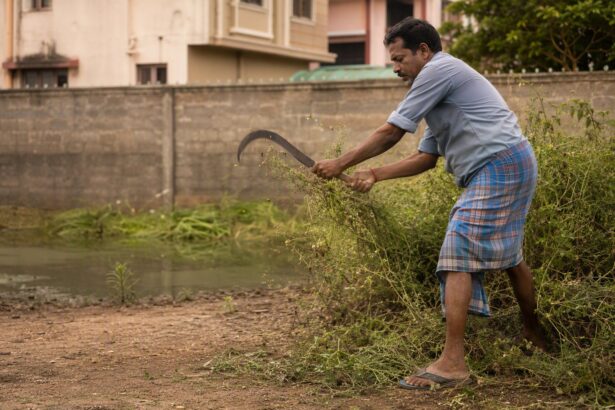 GCC Guidelines for Vacant Land Owners: Proper Maintenance for Clean and Safe Chennai