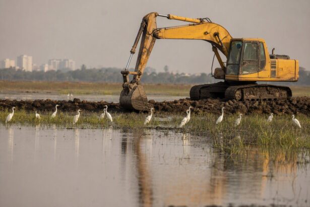 National Green Tribunal Freezes CMDA Approvals Near Pallikaranai